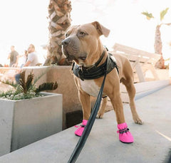 KUTKUT Dog Boots Paw Protector | Pack of 4pcs Anti-Slip Dog Shoes with Reflective Straps for Small Dogs (Pink) - kutkutstyle