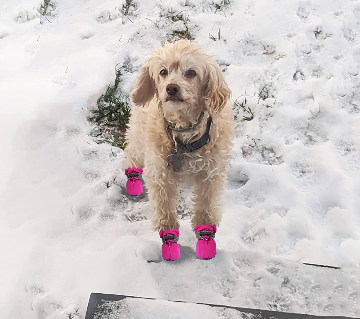 Winter Boots Pink Dog Slippers BEAUTYZOO Dog Shoes Boots&Paw