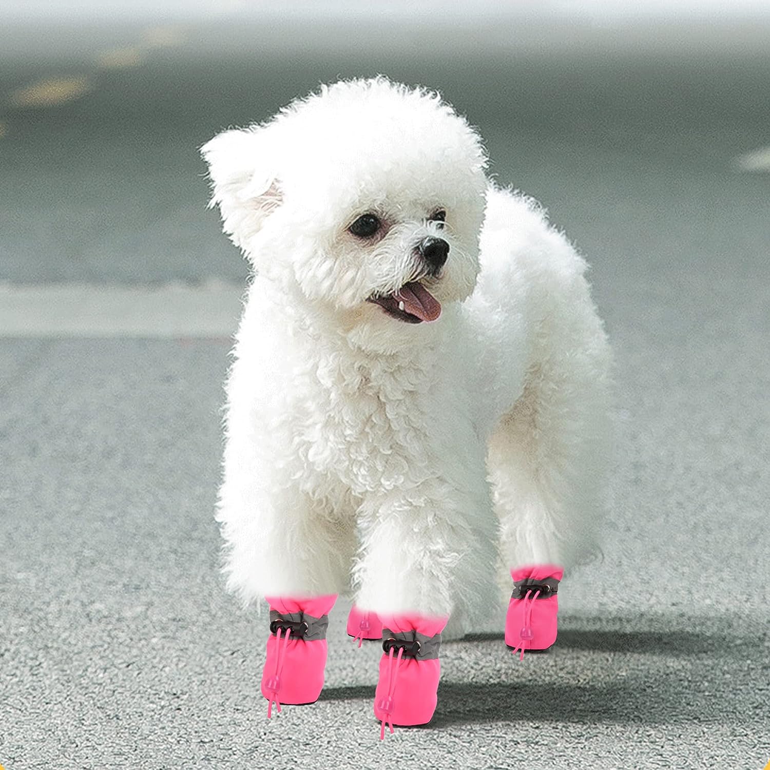 Shop KUTKUT Dog Boots - 4 Anti-Slip Paw Protectors for Small Dogs