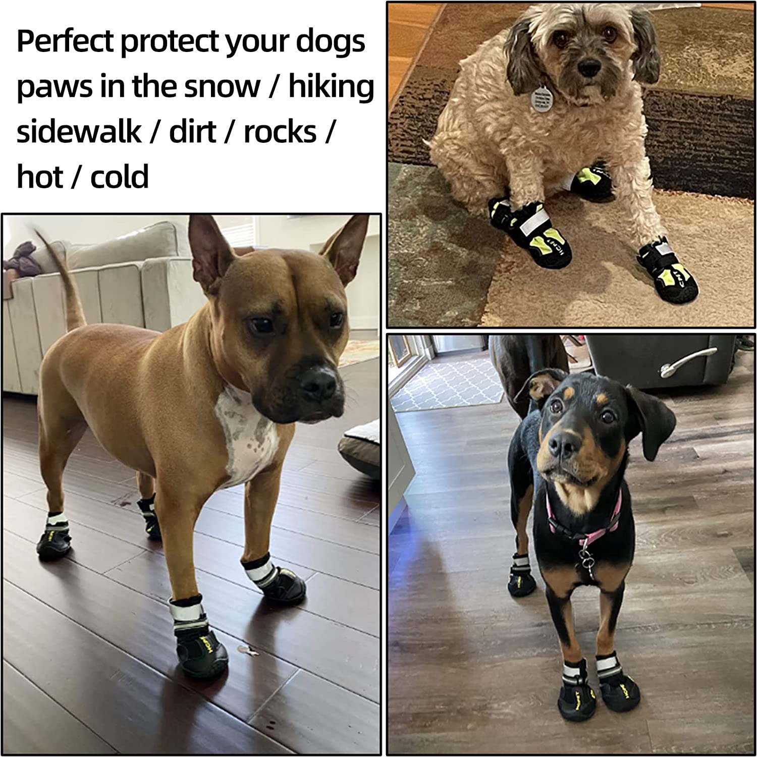 Heat proof clearance dog shoes