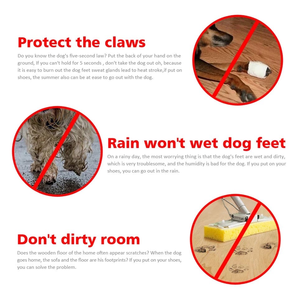 Dog Paw Protection – The Dog Outdoors