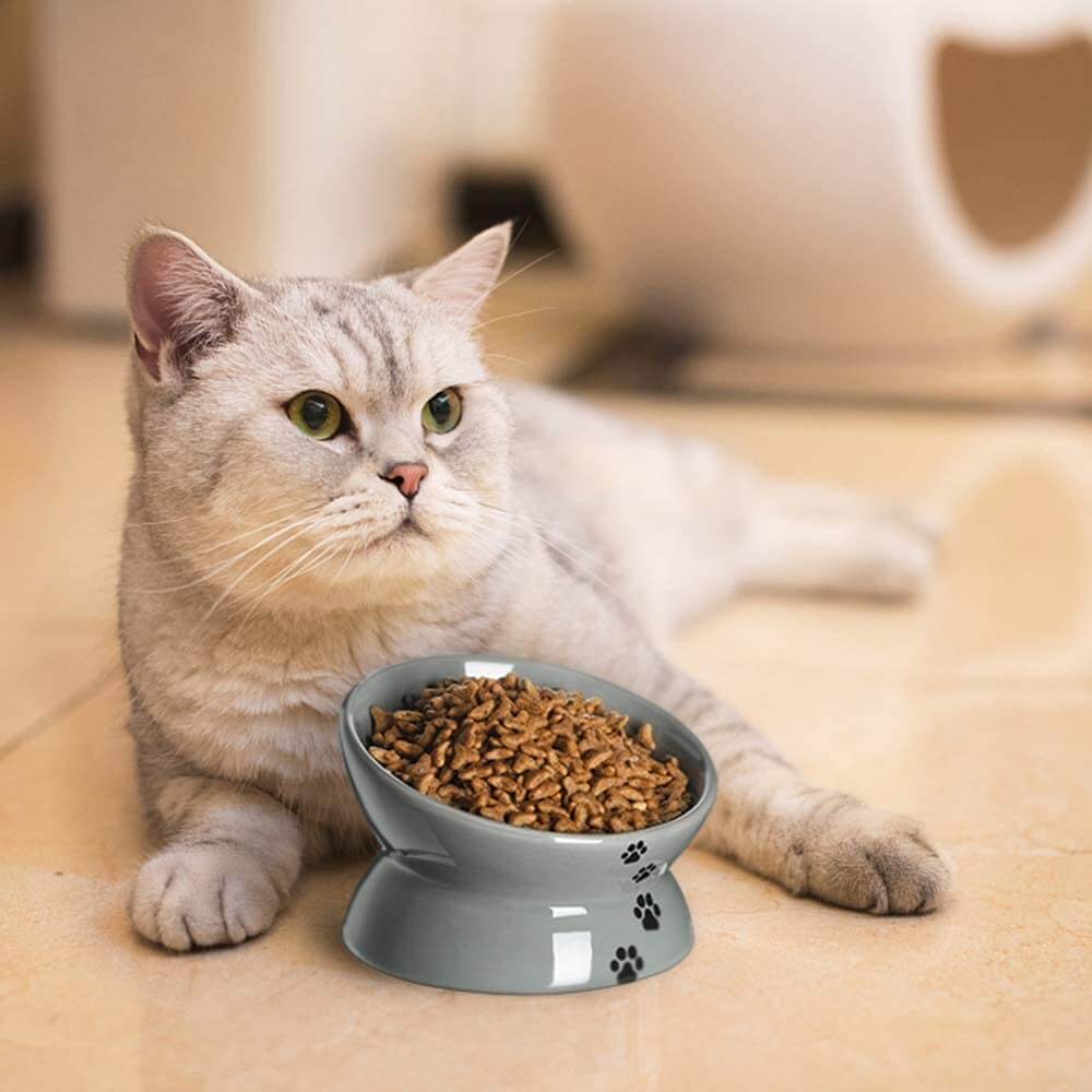 KKUTKUT Ceramic Raised Cat Bowl, Slanted Cat Dish Food or Water Bowls, Elevated Porcelain Pet Feeder Bowl Protect Cat's Spine, Stress Free, Backflow Prevention (Capacity: 150gm) - kutkutstyle