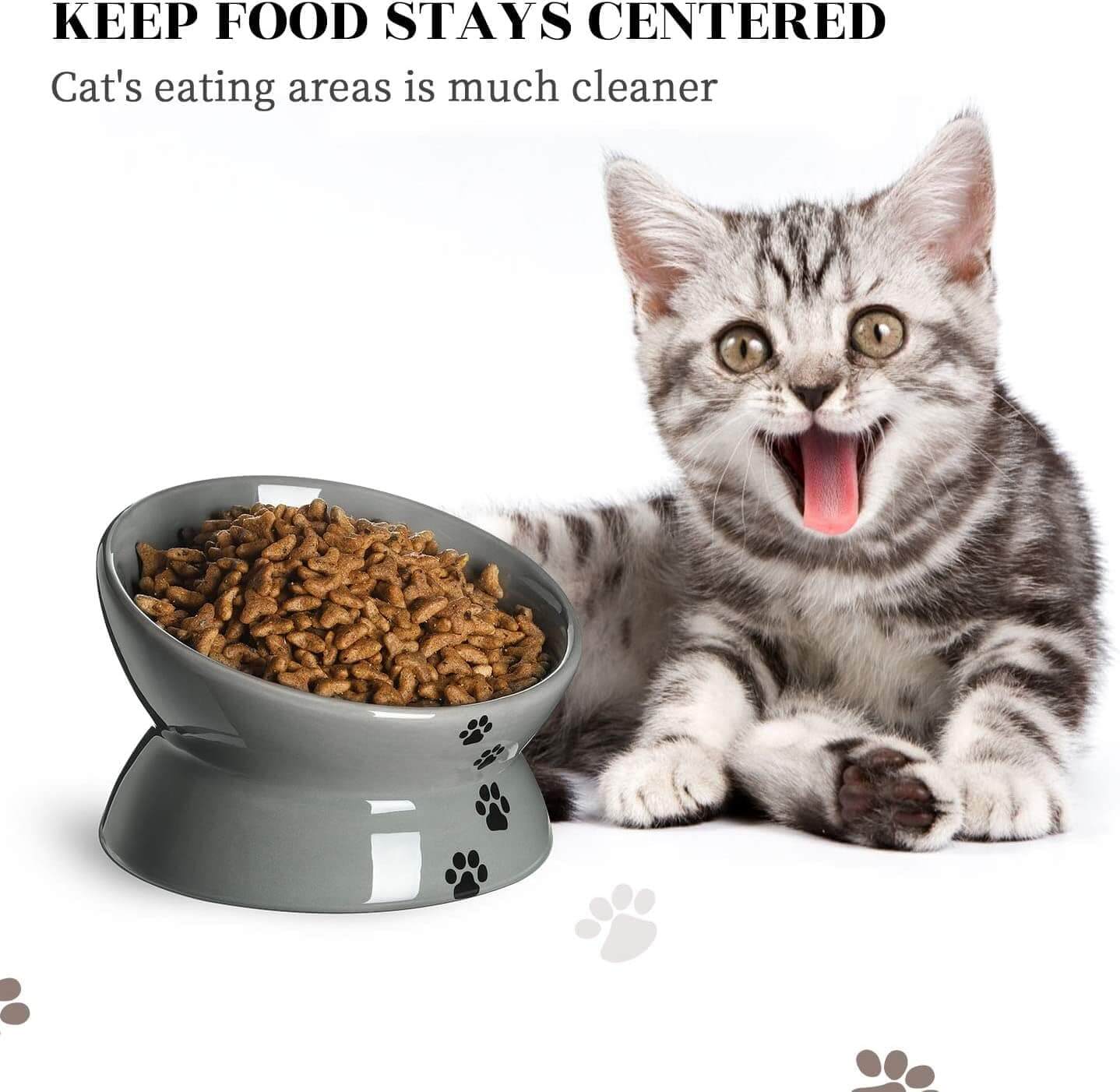 KKUTKUT Ceramic Raised Cat Bowl, Slanted Cat Dish Food or Water Bowls, Elevated Porcelain Pet Feeder Bowl Protect Cat's Spine, Stress Free, Backflow Prevention (Capacity: 150gm) - kutkutstyle