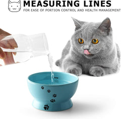 KUTKUT Cat Dog Porcelain Raised Bowl, No Spill Cat Water Food Bowl, Elevated Ceramic Pet Bowls for Protect Pet's Spine, Anti Vomiting Large Capacity Pet Water Bowl, 300 ml, Dishwasher Safe - 