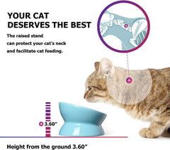 KUTKUT Cat Small Dog Porcelain Raised Food Bowl 6", Elevated Tilted Cat Bowl, Raised Cat Bowls for Adult Cats or Dogs, Ceramic Pet Food Water Dish (Capacity: 150 gm) - kutkutstyle