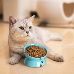 KUTKUT Cat Small Dog Porcelain Raised Food Bowl 6", Elevated Tilted Cat Bowl, Raised Cat Bowls for Adult Cats or Dogs, Ceramic Pet Food Water Dish (Capacity: 150 gm) - kutkutstyle
