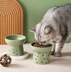 KUTKUT Ceramic Cat Dog Food Or Water Bowl, Raised Cat Feeder Dishes with Stand, Elevated Pet Food Bowl for Small Dogs and Cats, Stress Free Backflow Prevention & Anti Vomiting - kutkutstyle