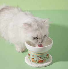 KUTKUT Ceramic Cat Food Bowl Elevated Bowl Protect Pets' spines and Neck | Anti Vomiting Porcelain Stress Free Tilted Bowl for Cats and Small Dogs, Dishwasher and Microwave Safe - kutkutstyle