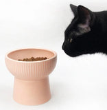 KUTKUT Ceramic Cat Food Or Water Bowl, Raised Cat Feeder Dishes with Stand, Elevated Pet Food Bowl for Cats and Small Dogs, Stress Free Backflow Prevention, Anti Vomiting & Reduce Neck Burden