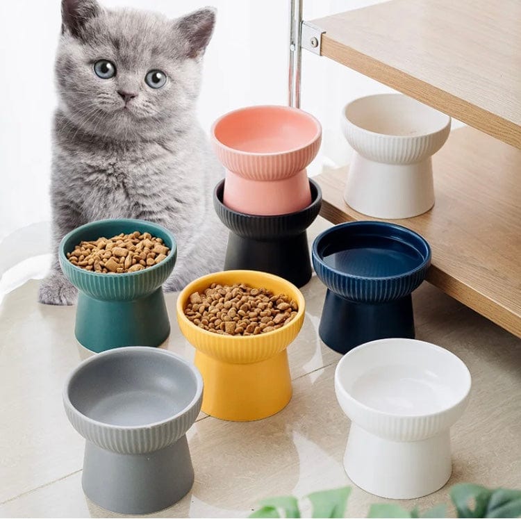 KUTKUT Ceramic Cat Food Or Water Bowl,Raised Cat Feeder Dishes with Stand, Elevated Pet Food Bowl for Cats & Small Dogs,Stress Free Backflow Prevention, Anti Vomiting & Reduce Neck Burden(Min