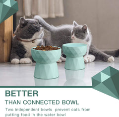 KUTKUT Ceramic Eelevated Anti Vomiting Pet Food Bowl (Pack of 1 (Oval Mint Green)) - kutkutstyle