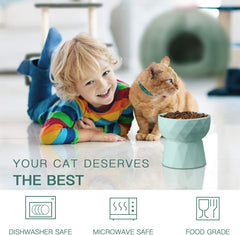 KUTKUT Ceramic Eelevated Anti Vomiting Pet Food Bowl (Pack of 1 (Oval Mint Green)) - kutkutstyle