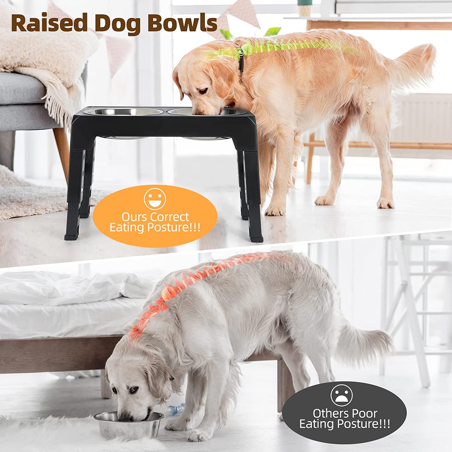 KUTKUT Elevated Dog Food Bowls 4 Height Adjustable Raised Dog Bowl with 2 Stainless Steel Dog Food Bowls Non-Slip Dog Bowl Stand Adjusts to 3.1", 8.6", 10.2", 11.8" for Small Medium Large Dog