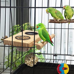KUTKUT Bird Food & Water Stainless Steel Cups Wooden Perch Stand Hanging Feeder Bowls Feeding and Watering Supplies for Parakeets Conures Cockatiels Budgie Parrot - kutkutstyle