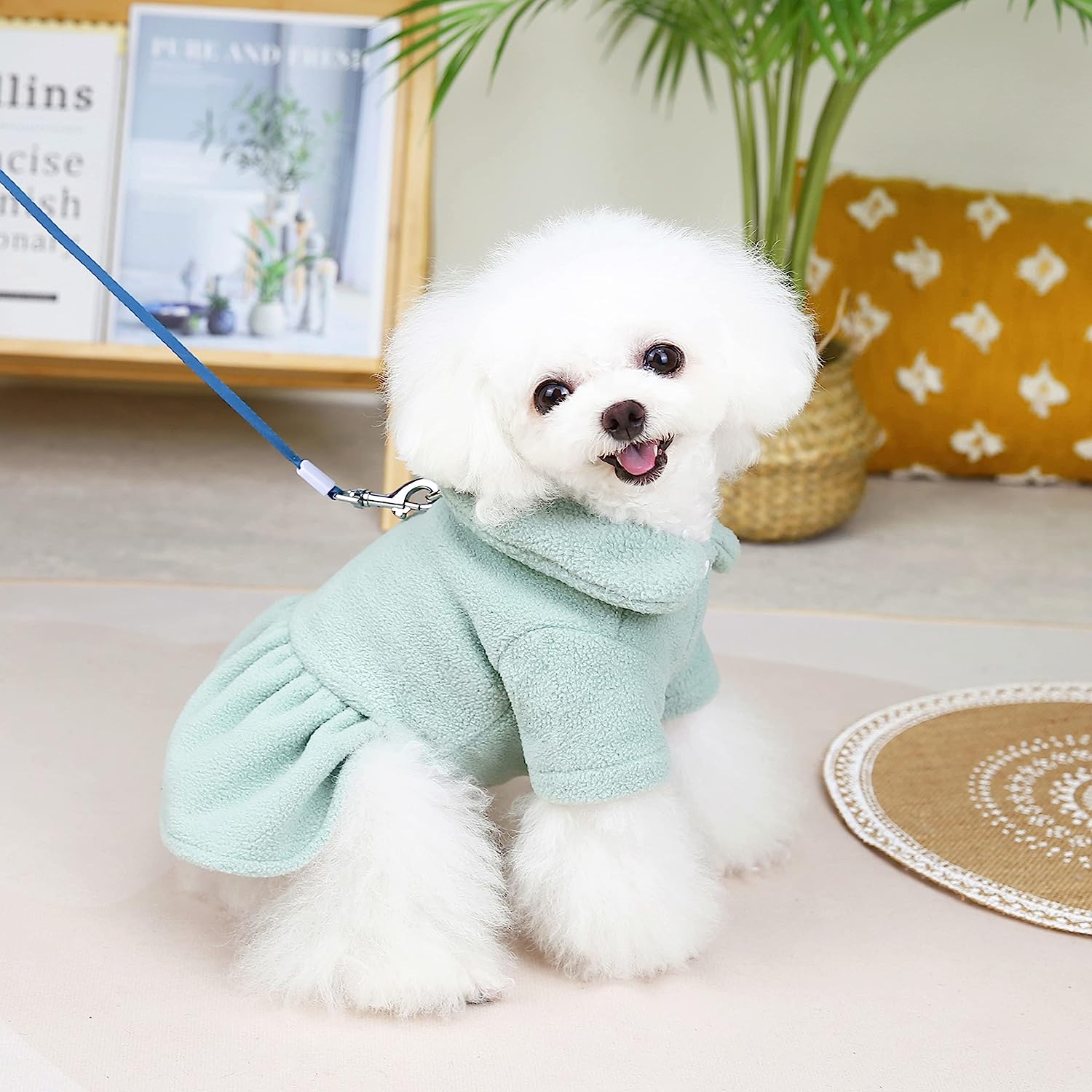 Buy KUTKUT Dog Dress Harness with D Ring Cute Bow Knot with Ruffle Princess  Puppy Dresses Skirt, Spring Winter Warm Pet Cat Dog Clothes for Small Dogs  ShiTzu, Pug Lhasa Girls (Size: L, Chest: 44-46cm) Online at Best Prices in  India - JioMart.
