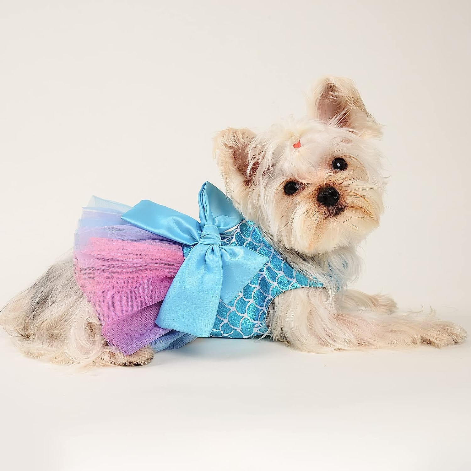 kutkutstyle-frock-kutkut-small-dog-birthday-dress-mermaid-print-spring- clothes-for-small-dogs-girl-puppy-princess-tutu-cute-puppy-kitten-tulle- dresses-pet- ... kutkutstyle-frock-kutkut-small-dog-birthday-dress-mermaid-print-spring- clothes-for-small-dogs-girl-puppy-princess-tutu-cute-puppy-kitten-tulle- dresses-pet- ...