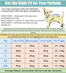 KUTKUT Small Dog Clothes Female Fruits Puppy Dresses for Small Dogs Cat Girl Pet Summer Clothes Outfit Apparel Cute Bowknot Doggy Skirt Tutu Skirt Cat Dress - kutkutstyle