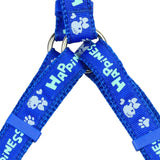 KUTKUT Adjustable No-Pull & No-Choke | Soft Cute Step-in | Small/Medium Dog Girl Boy Harness and Leash Set (Blue, Size: M, Adjustable Chest:41-61 cm) - kutkutstyle