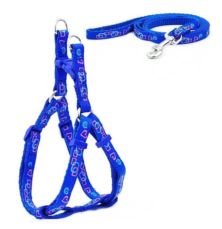KUTKUT Adjustable | Step in Basic Nylon Harness and Leash for Puppy Outdoor Running Training Walk (Size: S, Adjustable Chest: 31cm-46cm)-Harness-kutkutstyle