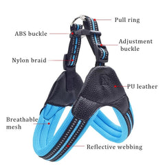 KUTKUT Adjustable 3M Reflective Easy Control Pet Harness, No Pull, Ultra Soft Breathable Padded with 2 Adjustable Botton for Small Dogs - kutkutstyle