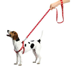 KUTKUT Adjustable | Cute Paws Print Heavy Duty | No Pull Pet Back Clip Halter Harness and Leash for Puppies - kutkutstyle