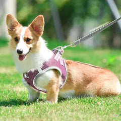 KUTKUT Adjustable Dog/Cat Harness, No Pull for Puppy, Reflective, Breathable & Soft Mesh Padded Step-in Vest & Leash Set, for Outdoor Walking Escape Proof - kutkutstyle
