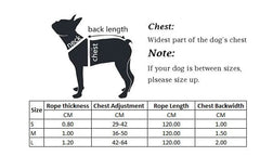 KUTKUT Adjustable No Choke No Pull |Comfortable Harness with Heavy Duty Braided Leash Set for Puppy and Kittens - kutkutstyle
