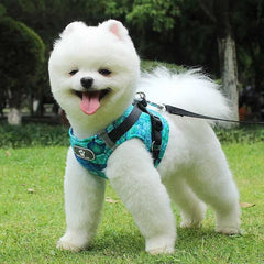 KUTKUT Adjustable No Pull, No Choke Puppy and Cat Harness, Breathable and Reflective Harness and Leash for Small Puppy - kutkutstyle