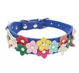 KUTKUT Adjustable PU Leather Colorful Flower Studded Collar and Leash Set for Dogs/Cats (Size: M, Adjustable Length: 32-38cm) - kutkutstyle