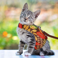 KUTKUT Cat Escape Proof Harness and Leash for Walking Air Mesh Fabric Outdoor Walking Vest with Reflective Strips for Cute Kittens and Small Puppies - kutkutstyle