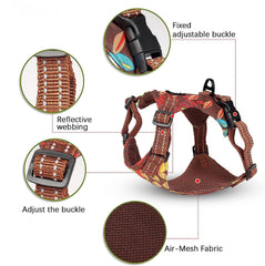 KUTKUT Cat & Small Dog Harness & Leash Set for Walking Escape Proof,2Set Adjustable Vest Harness for Kitten & Puppy with Reflective Strap,Easy Control Jacket for Walking Outdoor - kutkutstyle