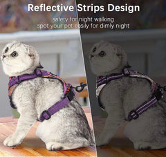 KUTKUT Cat & Small Dog Puppy Harness and Leash Set for Walking Escape Proof, Adjustable Vest Harness for Dog with Reflective Strap, Easy Control Jacket for Walking Outdoor - kutkutstyle