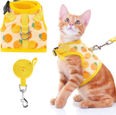 KUTKUT Cat & Small Dog Puppy Harness with Leash and Collar for Walking - Escape Proof - Adjustable Soft Vest Harnesses for Small Dogs and Cats - kutkutstyle