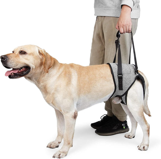 KUTKUT Dog Sling for Medium Dogs Hind Leg Support to Help Rehabilitate The Hind Limbs of Elderly Dogs with Weak Hind Legs Disabilities and Injuries Dog Harness Helps Arthritis ACL Recovery - 