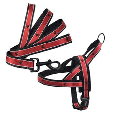 KUTKUT No Pull Heavy Duty Quick Fit Dog Strap Harness with Matching Leash | Adjustable Basic Step in Nylon Halter Harness and Leash for Small Dogs - kutkutstyle