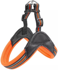 KUTKUT No Pull Ultra Soft Breathable Padded 2 Adjustable Botton 3M Reflective Easy Control Pet Harness for Small Dogs - kutkutstyle