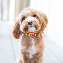KUTKUT Pet Collar Necklace | Hand Woven Dog - Cat Collar Bell Pendant Cat Accessories Puppy Pet Supplies with Bells (SIZE: M, Adjustable Neck: 20cm - 45cm)…-Harness-kutkutstyle
