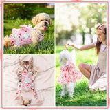 KUTKUT Small Dog Harness Dress and Leash Set Cute Bowknot Puppy Cat Princess Girl Dress Dog Clothes Soft Mesh Straberries Pattern Girl Dog Dress for Shihtzu, Poodle, King Charles - kutkutstyl