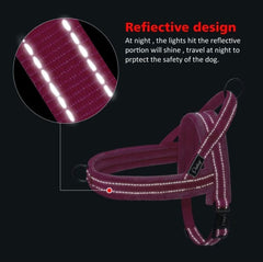 KUTKUT Soft Flannel Padded Dog Vest Harness & Leash|Escape Proof/Quick Fit Reflective Strap Personalized Harness & Leash with Pet Name & Phone Number For Small Dogs - kutkutstyle