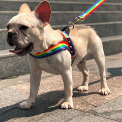 KUTKUT Soft Mesh Padded Rainbow Small Dog Vest Harness and Matching Leash | Quick Fit Dog Harness for ShishTzu, Pomeranian, Poodle etc. - kutkutstyle