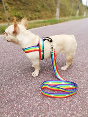 KUTKUT Soft Mesh Padded Rainbow Small Dog Vest Harness and Matching Leash | Quick Fit Dog Harness for ShishTzu, Pomeranian, Poodle etc. - kutkutstyle