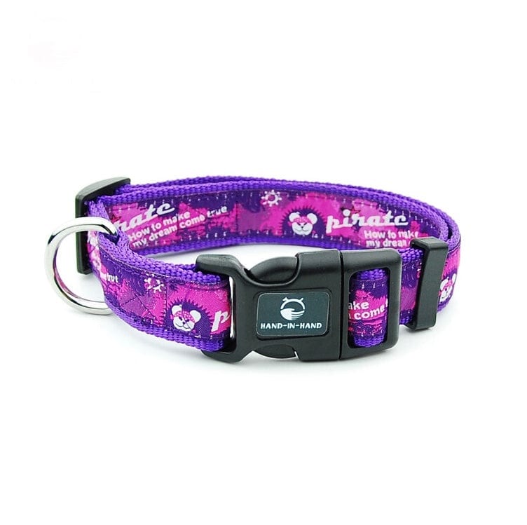 KUTKUT Dog Collar Combo Set | Matching Collar & Leash | Safety Set for Daily Outdoor Walking Running & Training Small Medium Dogs Cats (Purple, Adjustable Neck: 38cm - 54cm) - kutkutstyle