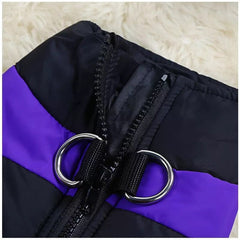 KUTKUT Waterproof and Warm Padded Zipper Winter Jackets for Dogs and Cats - kutkutstyle