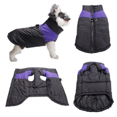 KUTKUT Waterproof and Warm Padded Zipper Winter Jackets for Dogs and Cats - kutkutstyle