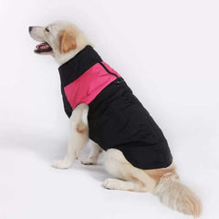 KUTKUT Waterproof and Warm Padded Zipper Winter Jackets for Dogs and Cats - kutkutstyle