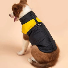 KUTKUT Waterproof and Warm Padded Zipper Winter Jackets for Dogs and Cats - kutkutstyle