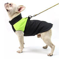 KUTKUT Waterproof and Warm Padded Zipper Winter Jackets for Dogs and Cats-Jacket-kutkutstyle