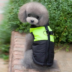 KUTKUT Waterproof and Warm Padded Zipper Winter Jackets for Dogs and Cats - kutkutstyle