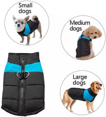 KUTKUT Waterproof and Warm Padded Zipper Winter Jackets for Dogs and Cats - kutkutstyle