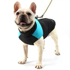 KUTKUT Waterproof and Warm Padded Zipper Winter Jackets for Dogs and Cats - kutkutstyle